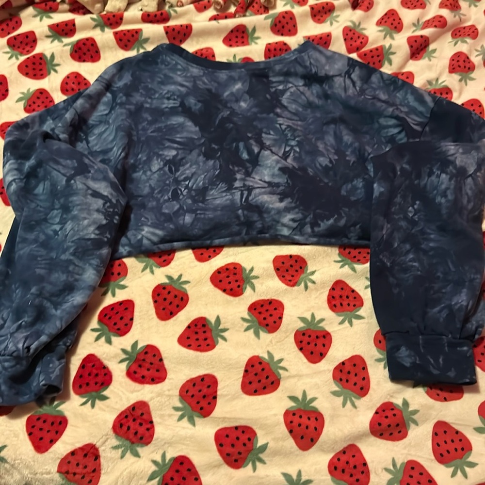 Long sleeve Crop top